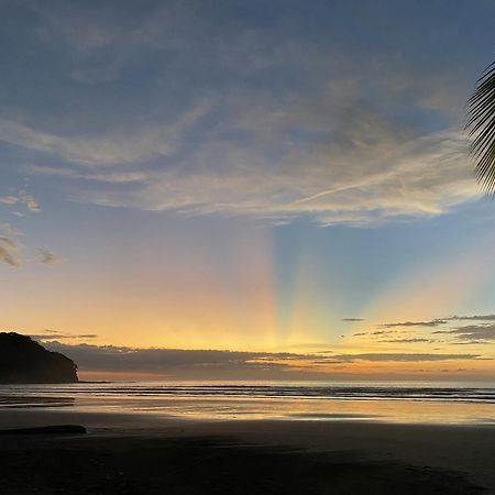 Alouatta Playa Coyote Hostel San Francisco de Coyote Ngoại thất bức ảnh