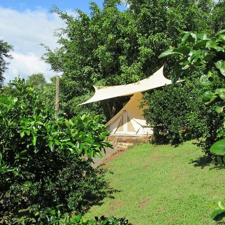 Alouatta Playa Coyote Hostel San Francisco de Coyote Ngoại thất bức ảnh