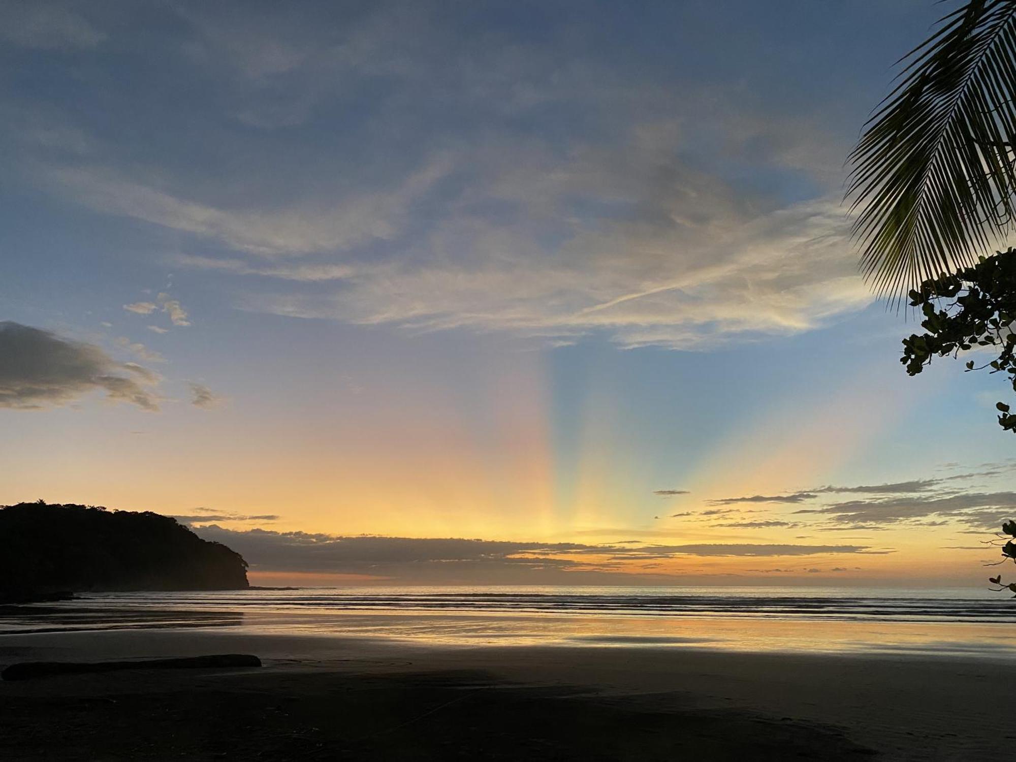 Alouatta Playa Coyote Hostel San Francisco de Coyote Ngoại thất bức ảnh
