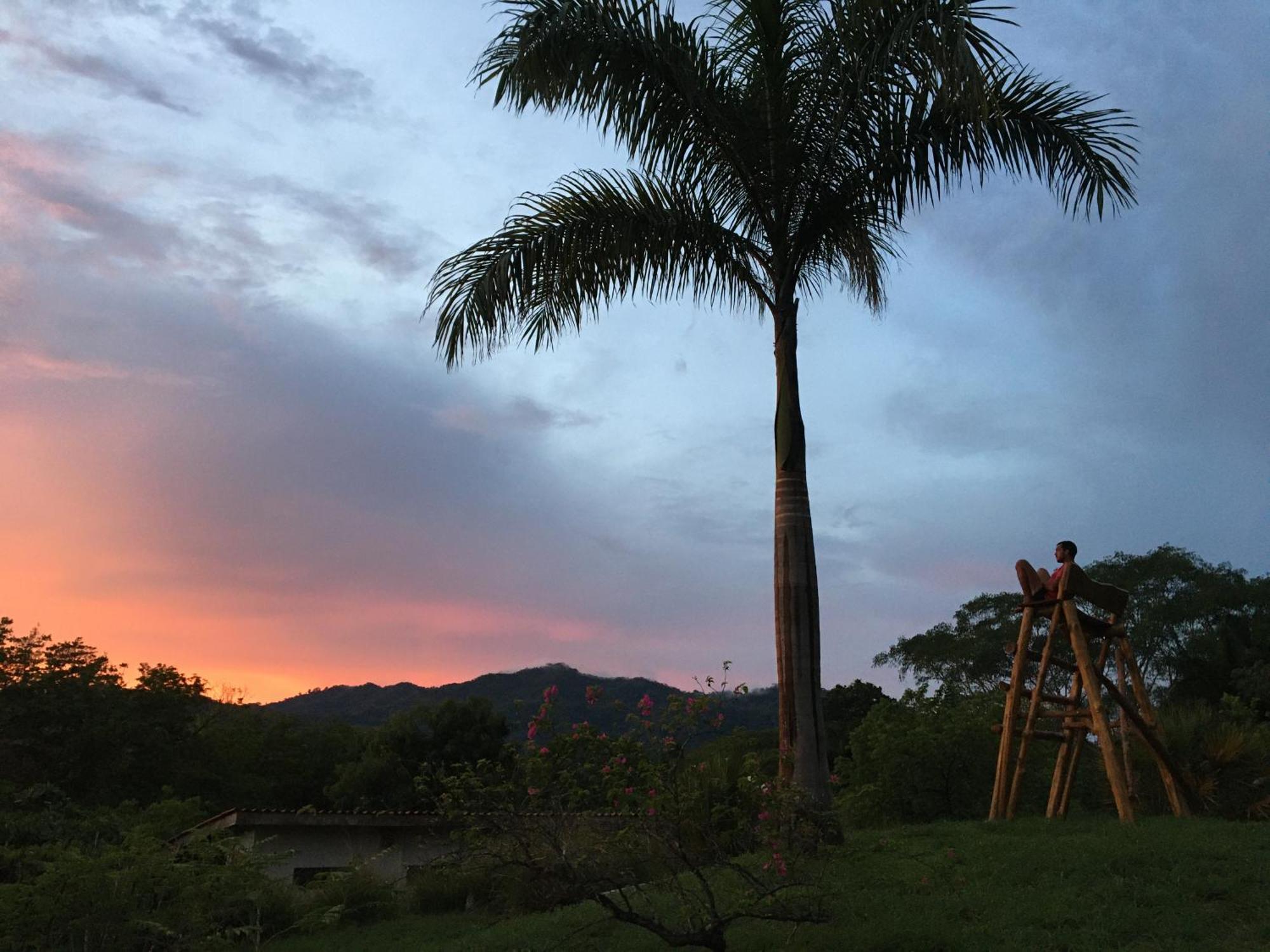 Alouatta Playa Coyote Hostel San Francisco de Coyote Ngoại thất bức ảnh