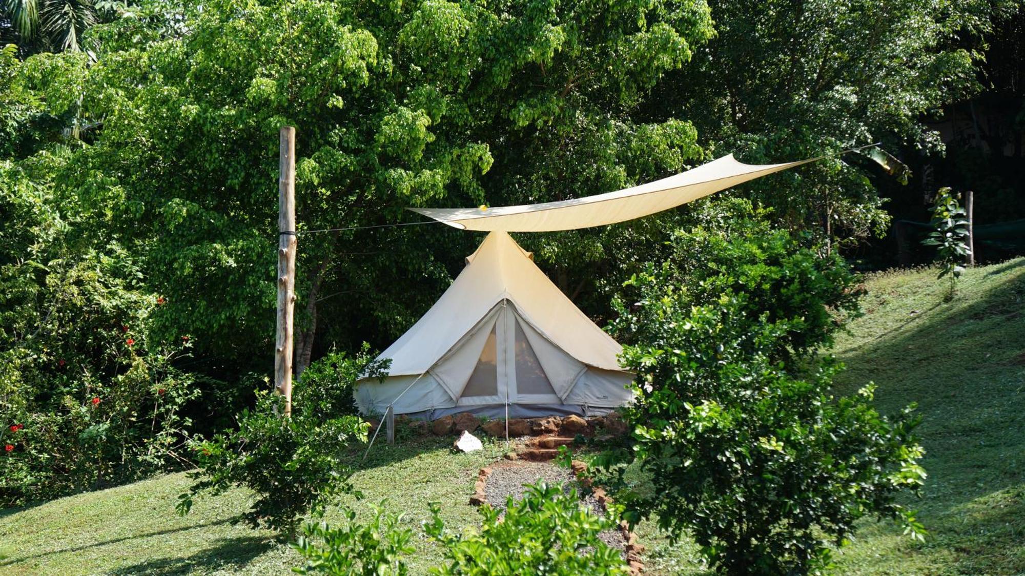 Alouatta Playa Coyote Hostel San Francisco de Coyote Ngoại thất bức ảnh