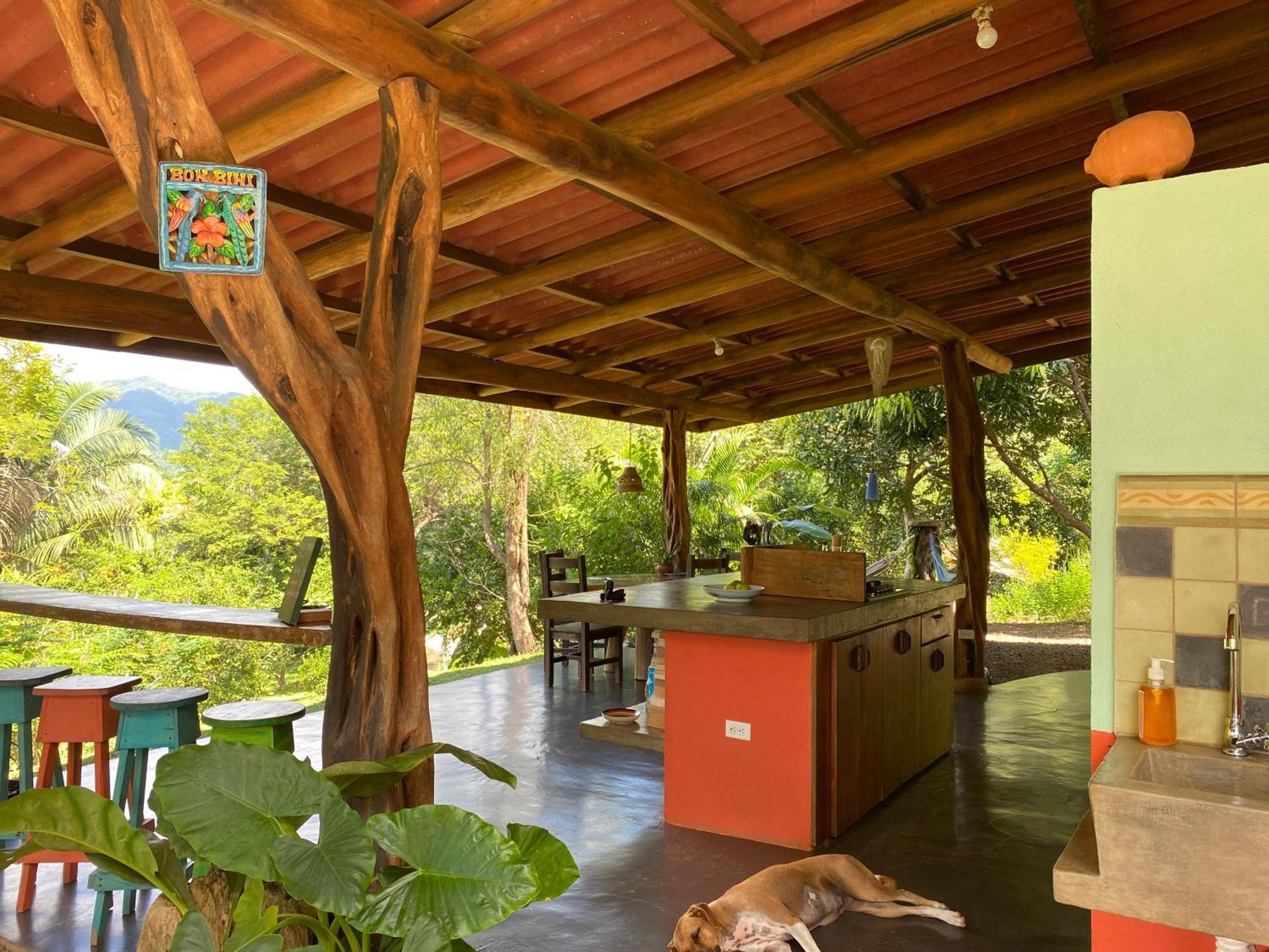 Alouatta Playa Coyote Hostel San Francisco de Coyote Ngoại thất bức ảnh