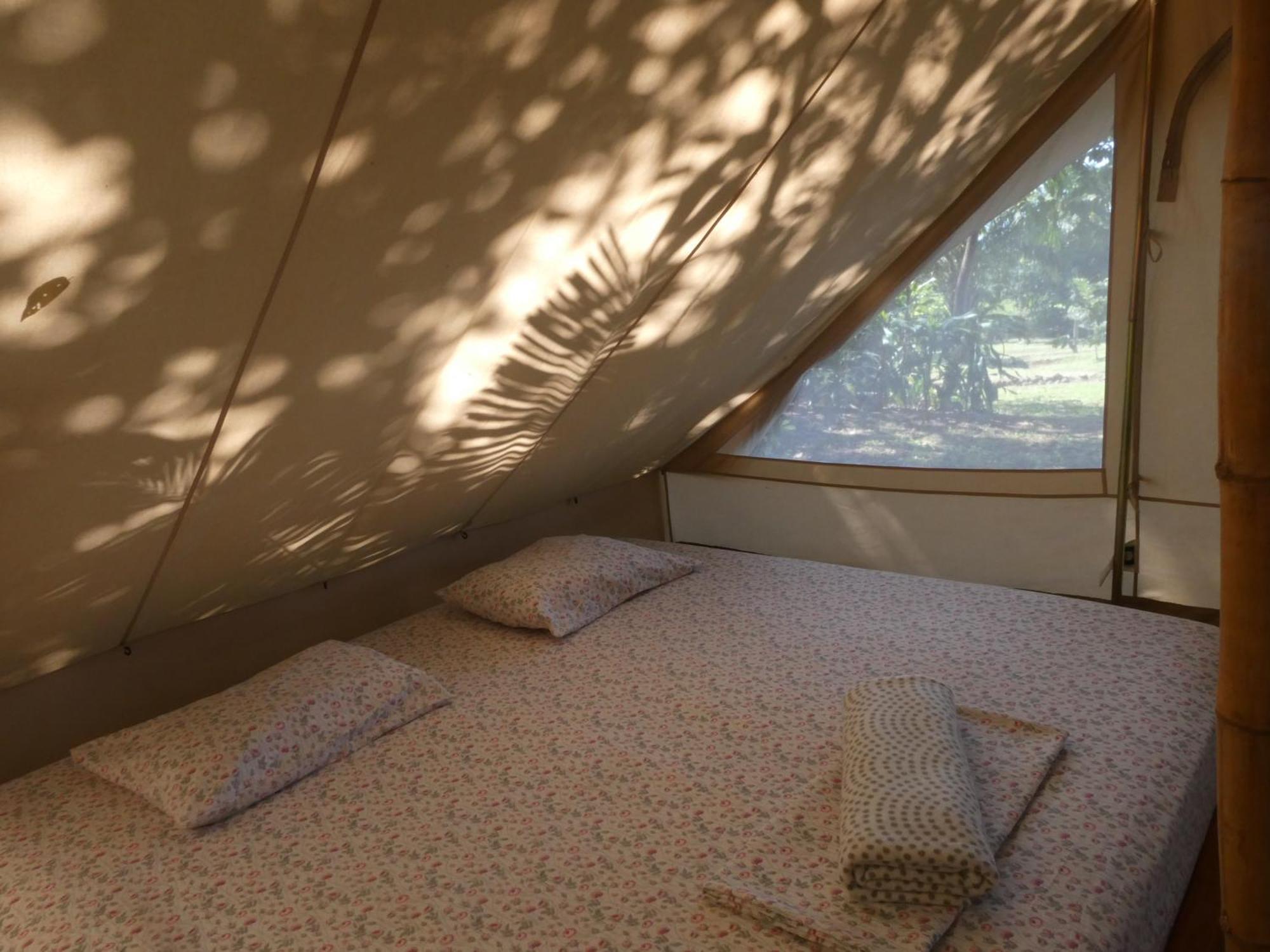 Alouatta Playa Coyote Hostel San Francisco de Coyote Ngoại thất bức ảnh