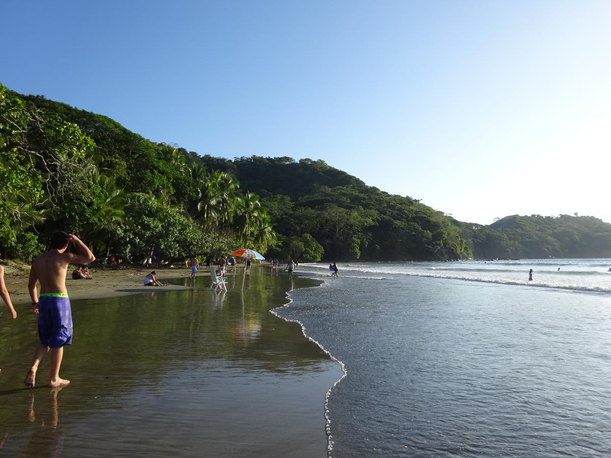 Alouatta Playa Coyote Hostel San Francisco de Coyote Ngoại thất bức ảnh