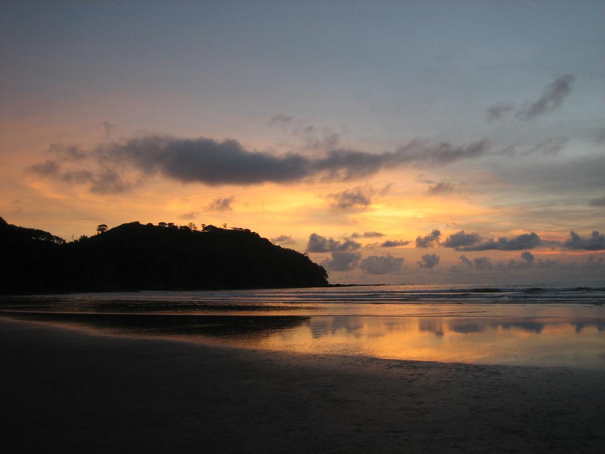 Alouatta Playa Coyote Hostel San Francisco de Coyote Ngoại thất bức ảnh