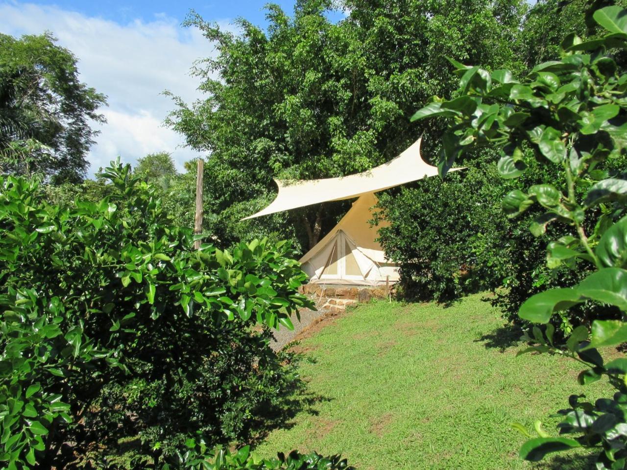 Alouatta Playa Coyote Hostel San Francisco de Coyote Ngoại thất bức ảnh