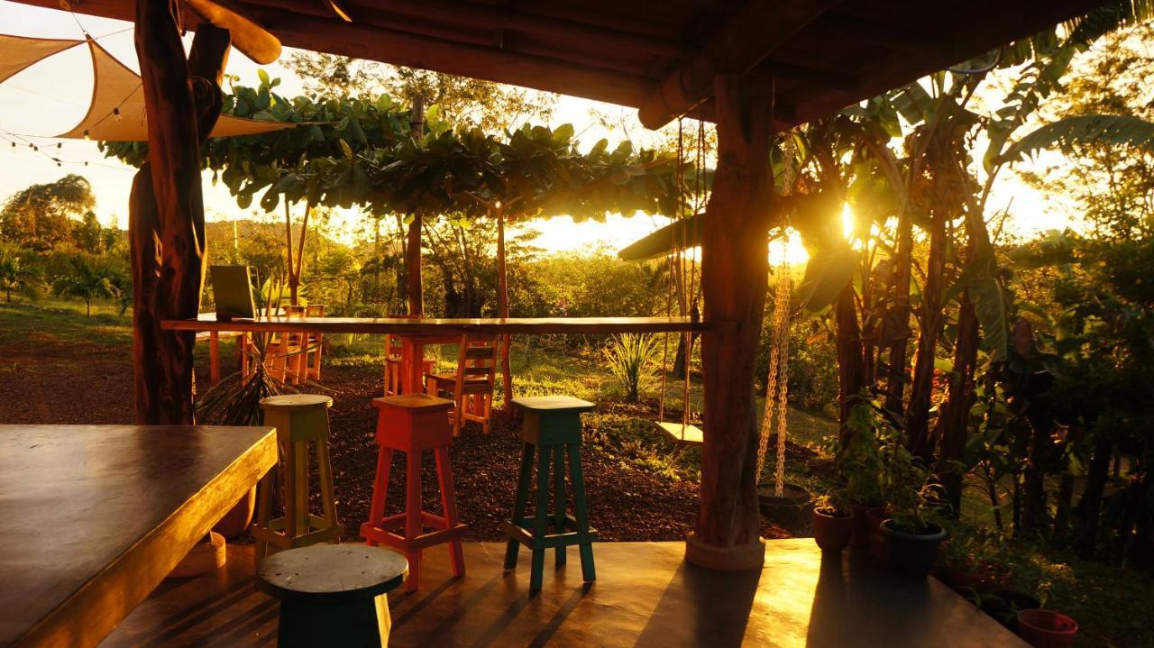 Alouatta Playa Coyote Hostel San Francisco de Coyote Ngoại thất bức ảnh